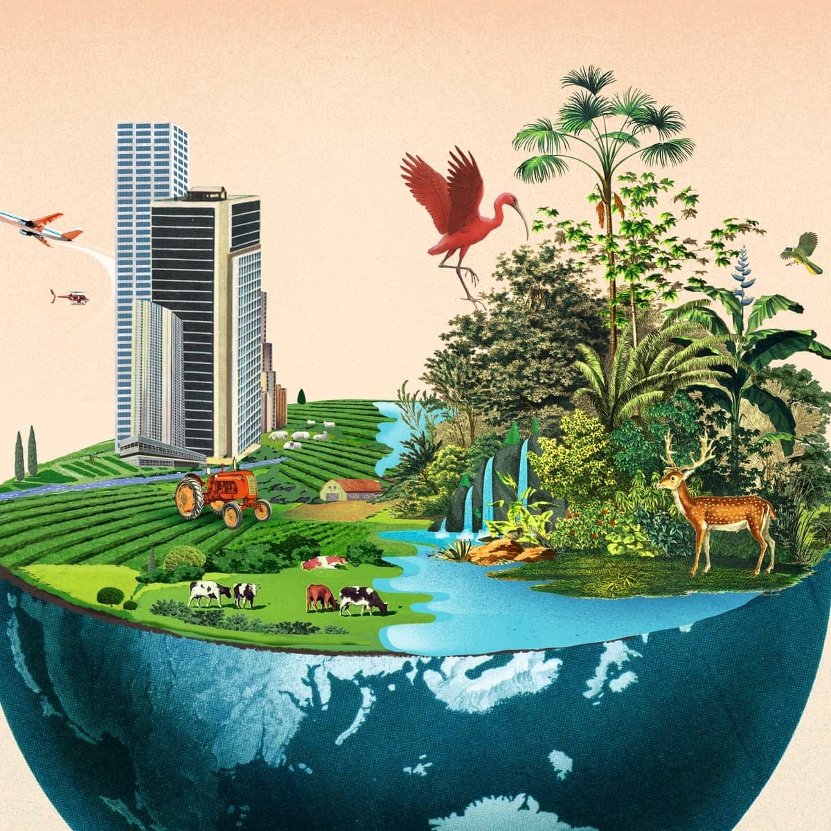 HARMONY WITH NATURE AND SUSTAINABLE DEVELOPMENT